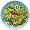 menu-item